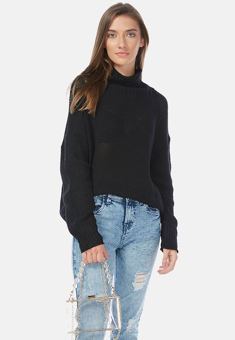 turtle neck knitted pullover#color_black