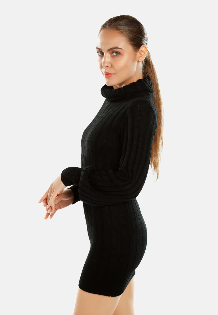 roll neck bodycon mini dress by ruw#color_black